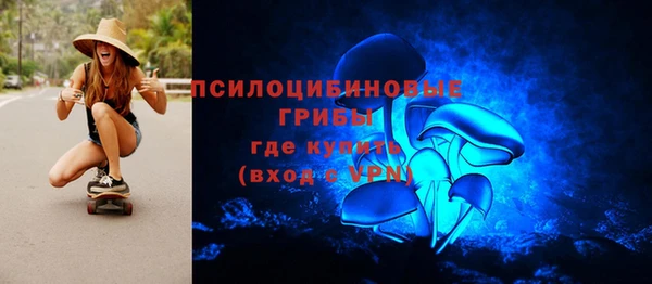 первитин Коряжма