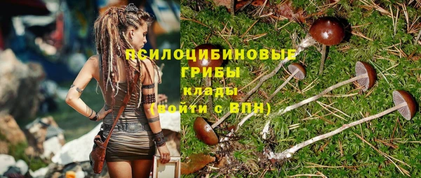 винт Кодинск