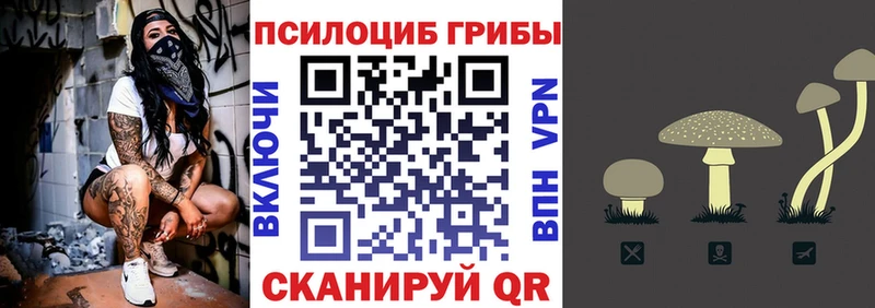 Галлюциногенные грибы Cubensis  Кохма 